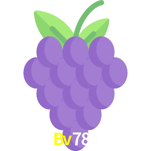 Bv789